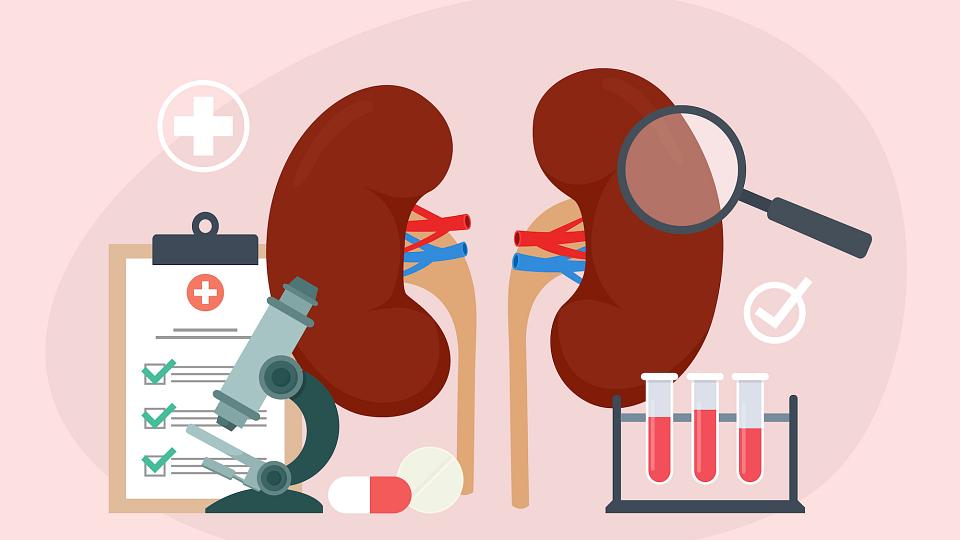 kidney transplant in Haryana