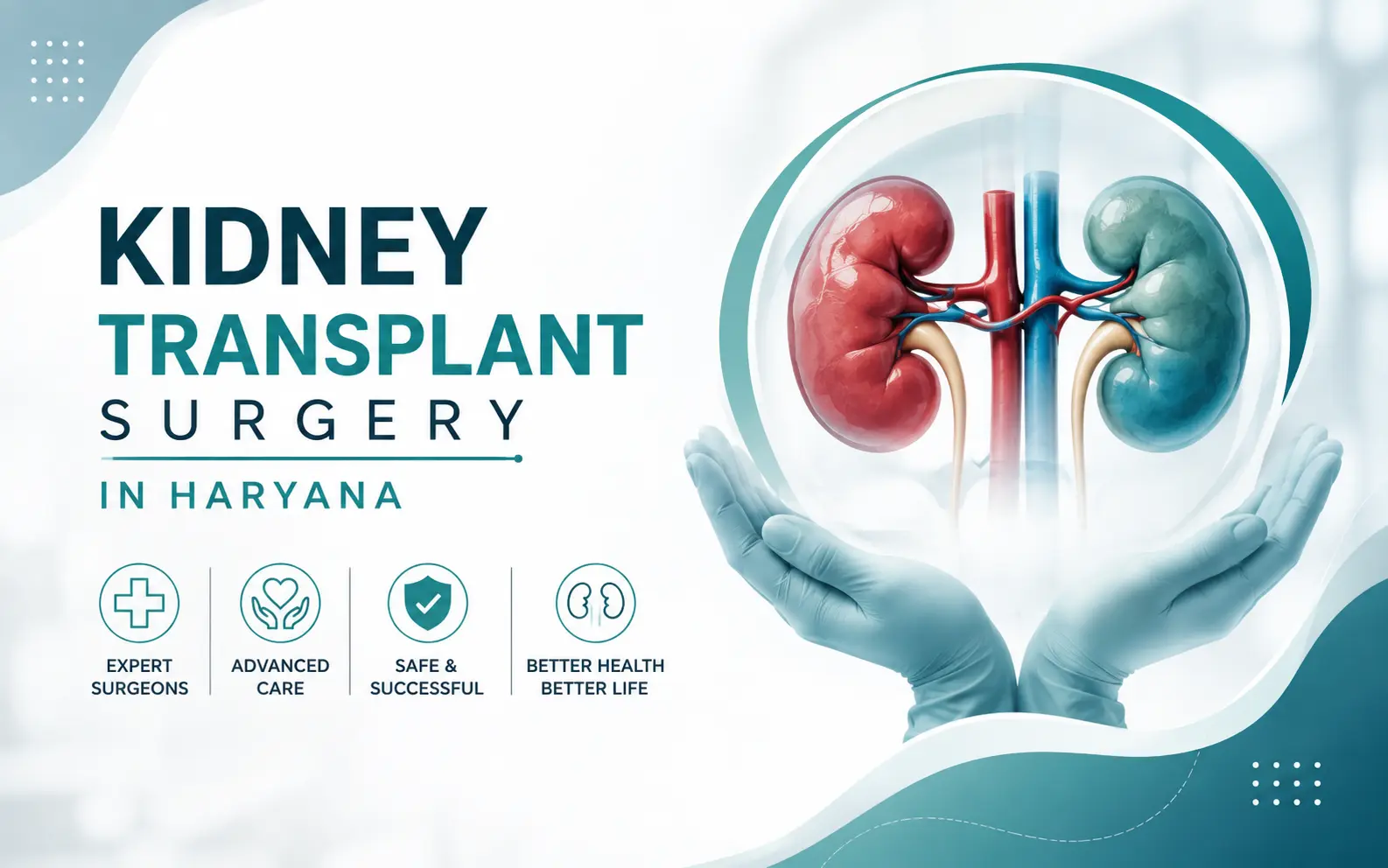 When Does the Kidney Need a Transplant? Kidney Transplant Surgery in Haryana