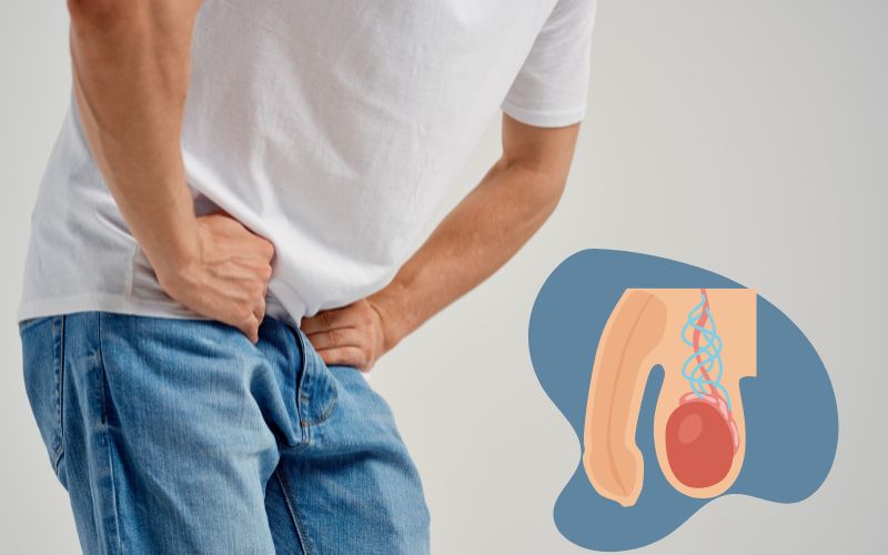 varicocele treatment in Haryana