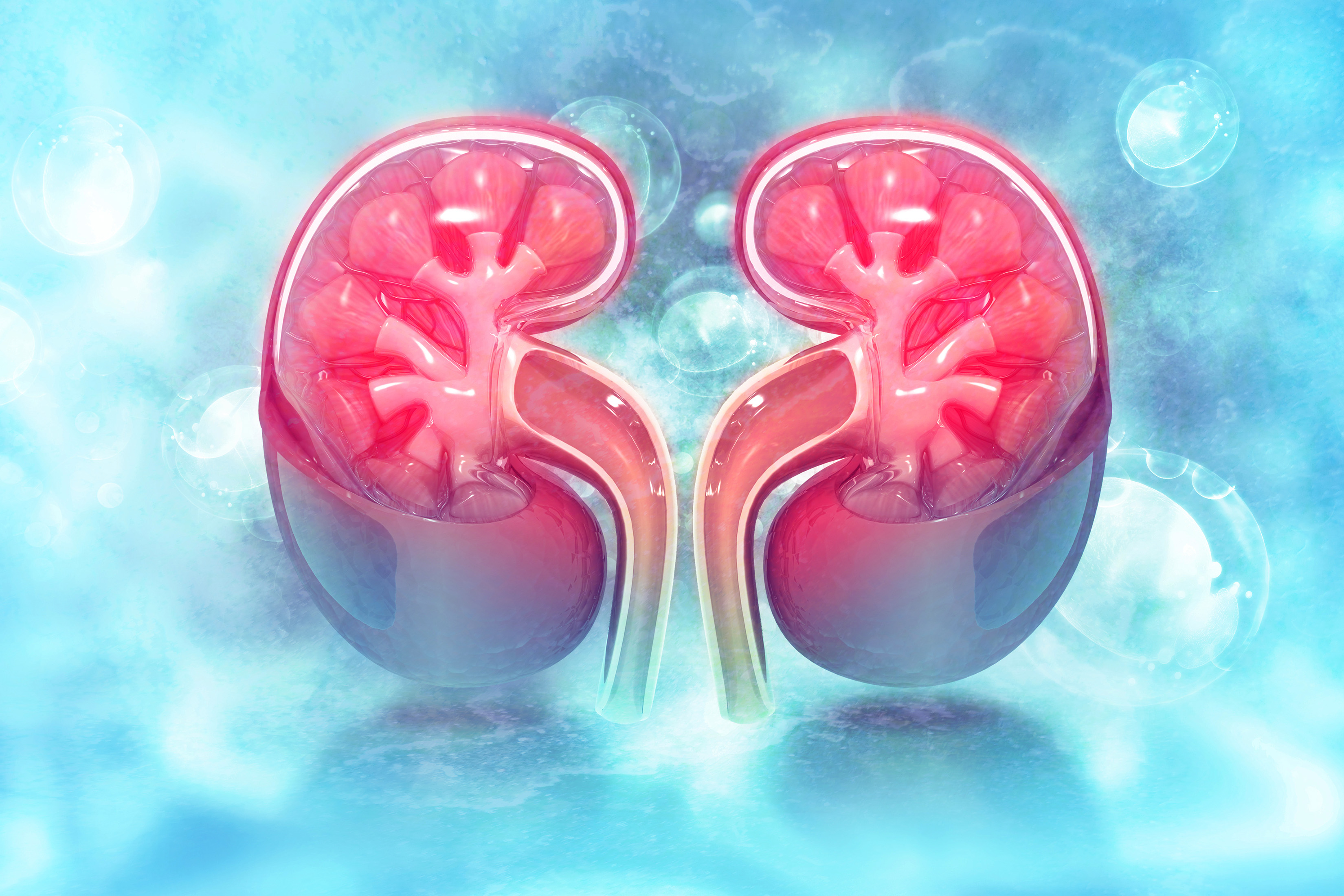 Water retention problem due to kidney diseases explained by Top kidney specialist of Rewari